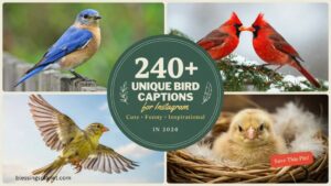 240+ Unique Bird Captions for Instagram Cute, Funny & Inspirational In 2026