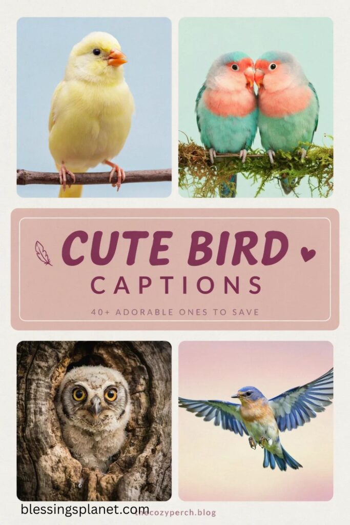 Cute Bird Captions