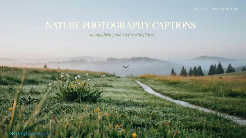 Nature Photography Captions
