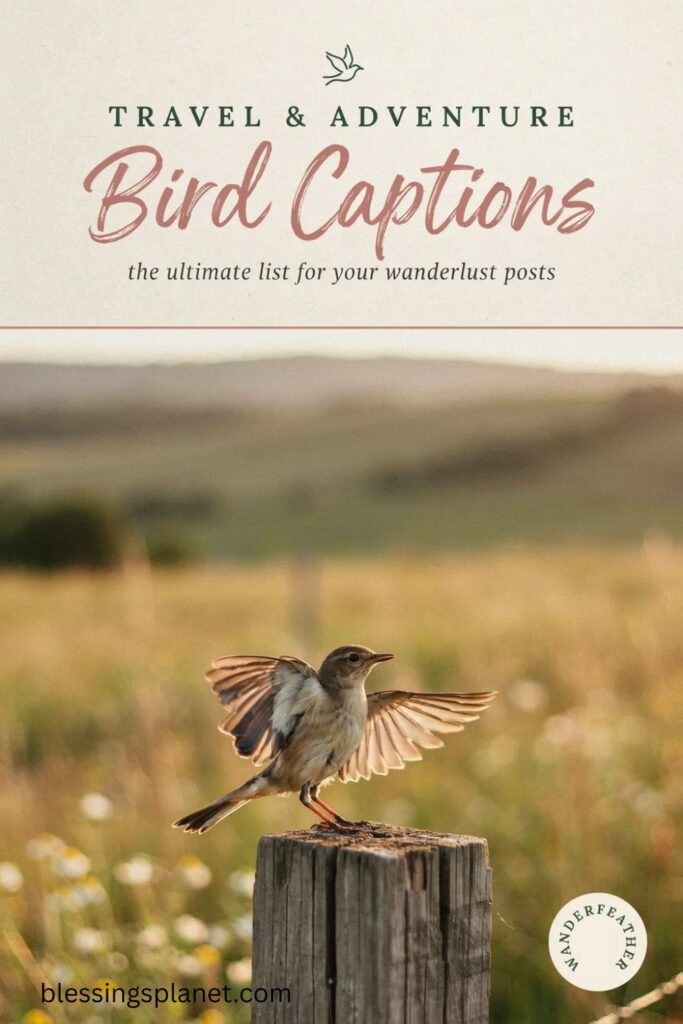 Travel and Adventure Bird Captions